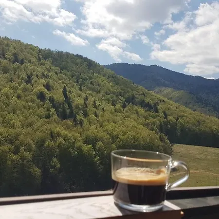 Mountain View Apartment