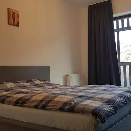 Mountain View Apartment Brasov